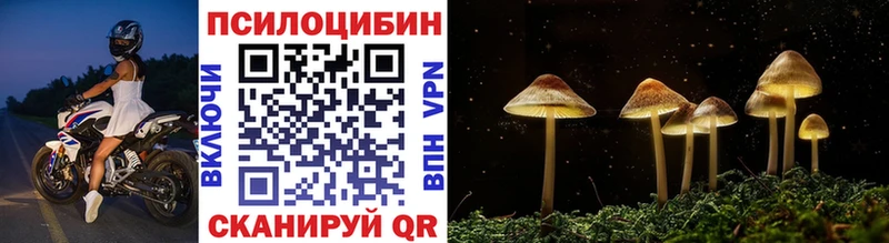 купить закладку  Баксан  Псилоцибиновые грибы Cubensis 